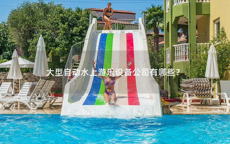 大型自動水上游樂設備公司有哪些？